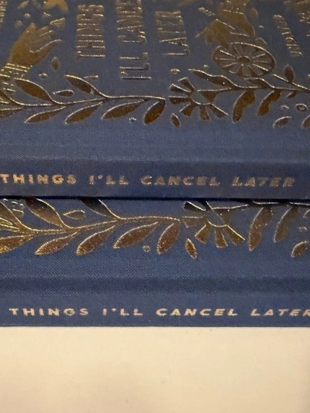LOT OF 2; Juniper Books Things I'll Cancel Later Blue & Gold Hardcover Books Lik
